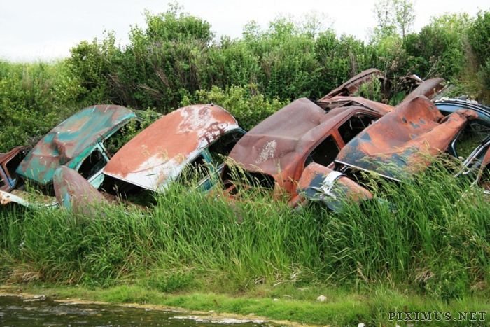 Abandoned Cars as Erosion Control in Detroit 