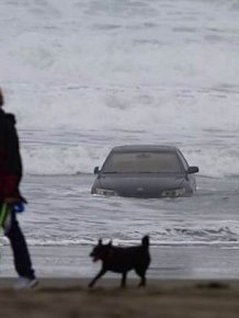 Driver Drove Her Car Into the Ocean 