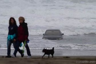 Driver Drove Her Car Into the Ocean 