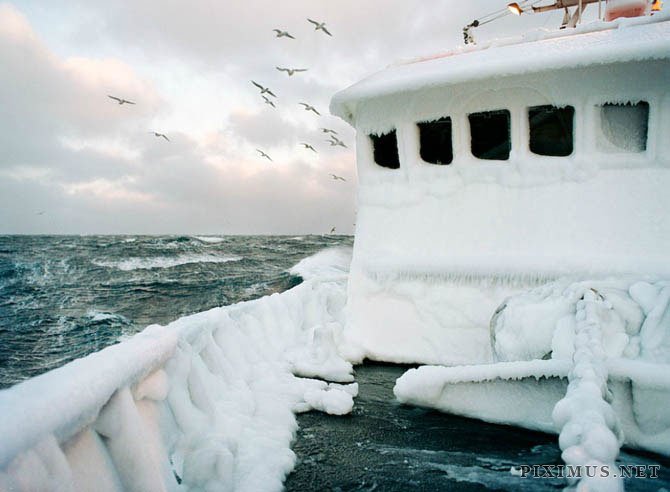 Fish-Work In Bering Sea by Corey Arnold