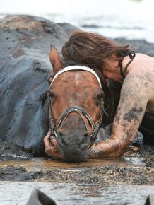Woman and Her Horse saved from the Quagmire  