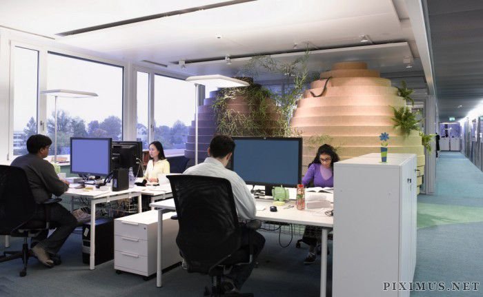 Creative Offices for Lucky Workers  