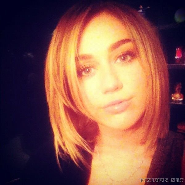Miley Cyrus Twitpics 