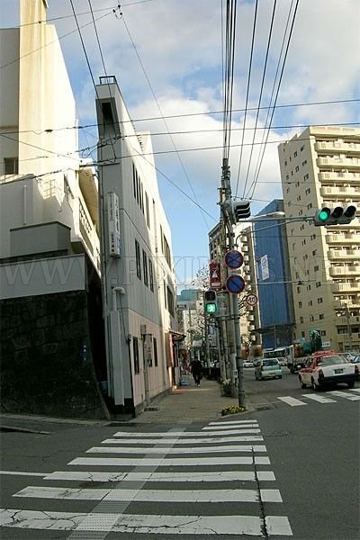 Very Thin Japanese Houses 