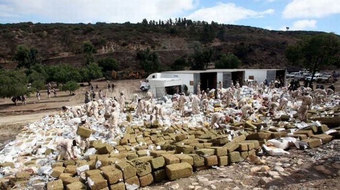 Mexico Burns 134 Tons of Confiscated Marijuana 