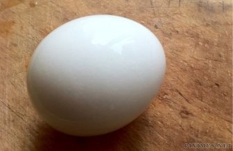 How to Peel a Boiled Egg Even Faster 