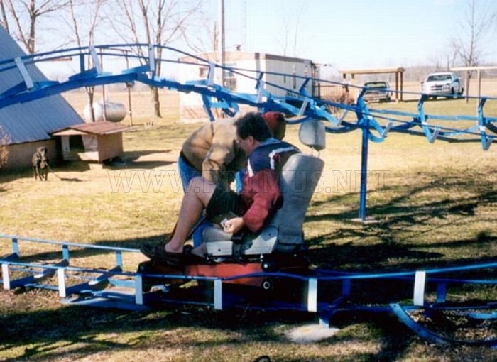 Homemade Roller Coaster 