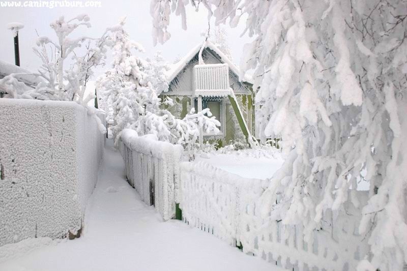 Siberian Winter 