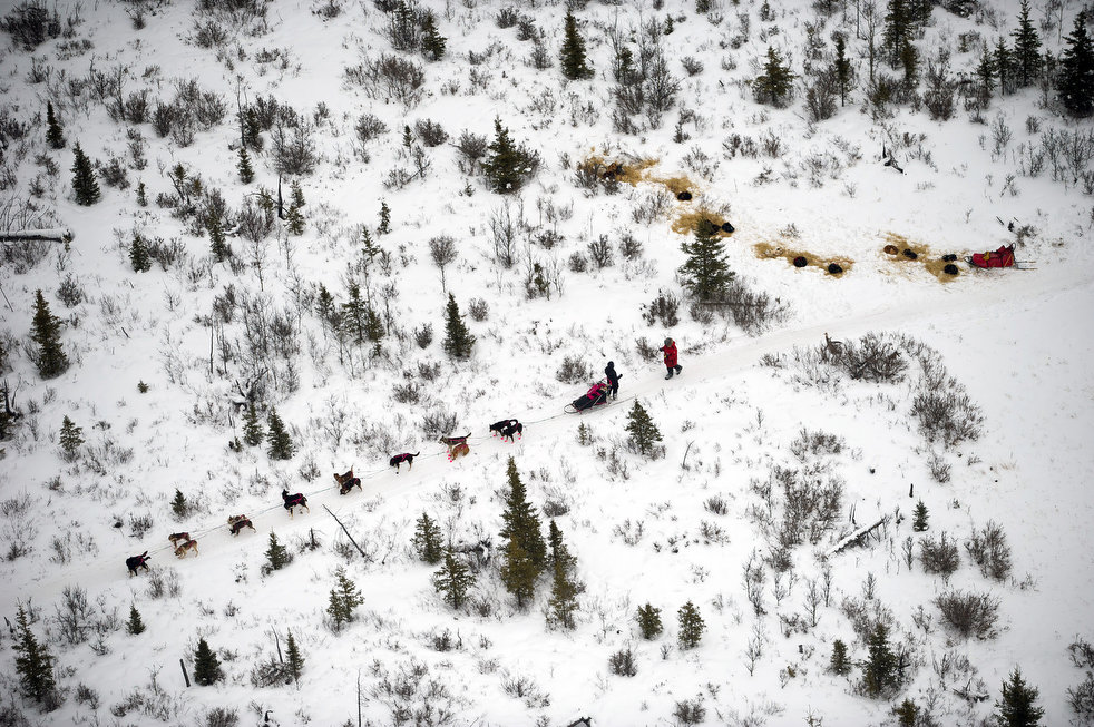 Iditarod 2012, part 2012
