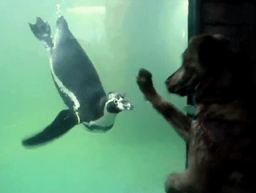 Daily GIFs Mix, part 169
