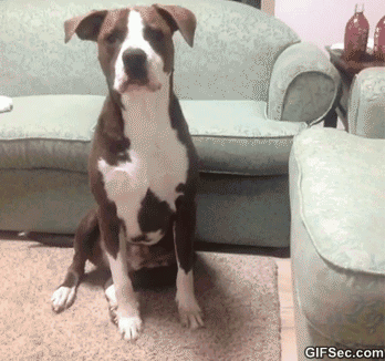 Daily GIFs Mix, part 169