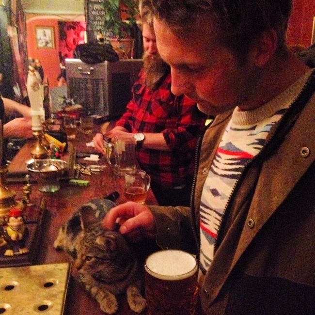 Now You Can Drink With Cats At This Cat Pub In The UK