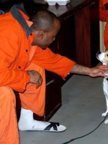 New Program Pairs Prisoners With Shelter Dogs