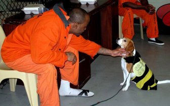 New Program Pairs Prisoners With Shelter Dogs