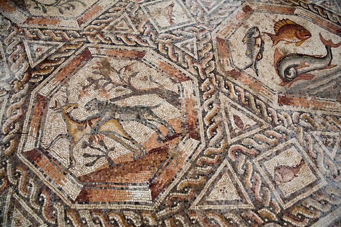 Archaeologists Discover An Incredible Mosaic In Israel