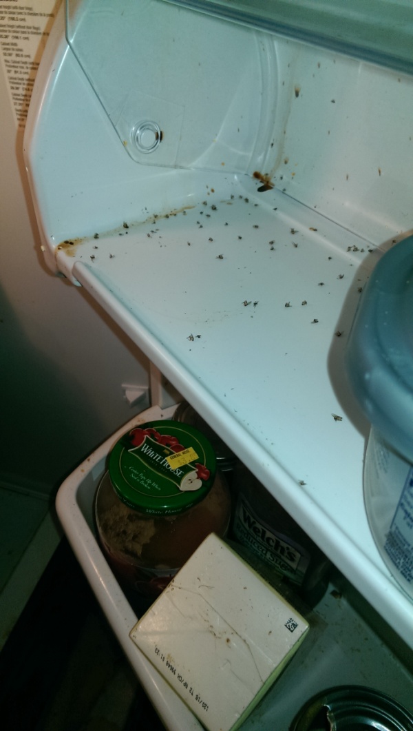 There's Definitely Something Living In This Fridge