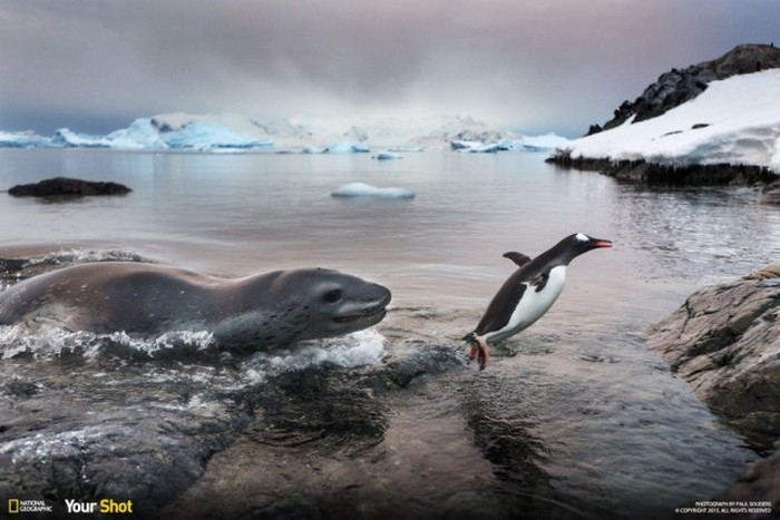The Most Impressive National Geographic Pictures Of 2015, part 2015