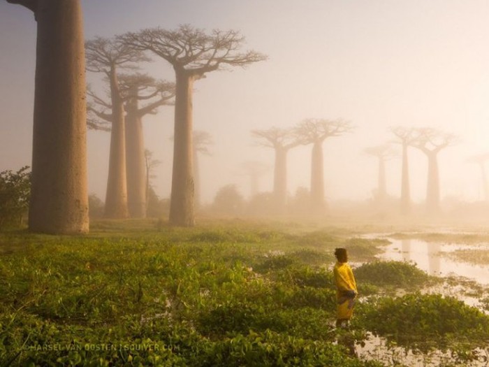 The Most Impressive National Geographic Pictures Of 2015, part 2015