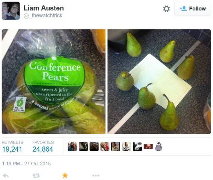 Picture Perfect Puns That Are So Bad They're Good