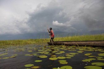 The 10 Most Impressive Photo Essays From November 2015