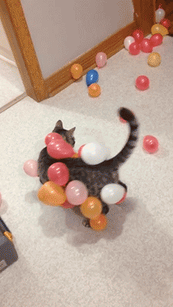 Daily GIFs Mix, part 783