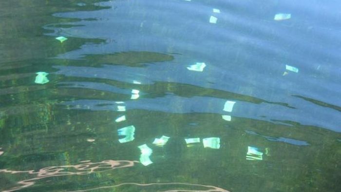 Two Lucky Men Found 100,000 Euros In The Danube River