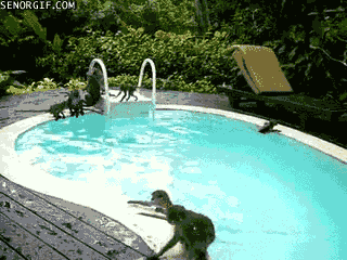 Daily GIFs Mix, part 784