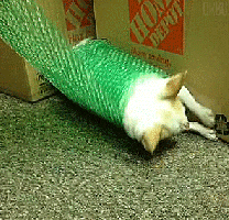 Daily GIFs Mix, part 784