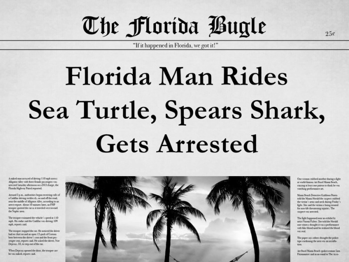 The 25 Most Bizarre News Headlines From Florida In 2015, part 2015