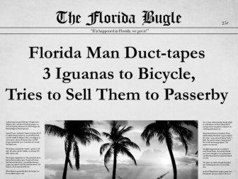 The 25 Most Bizarre News Headlines From Florida In 2015