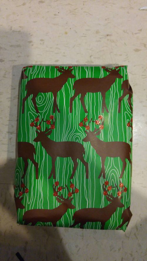 Guy Takes Holiday Gift Wrapping To The Extreme