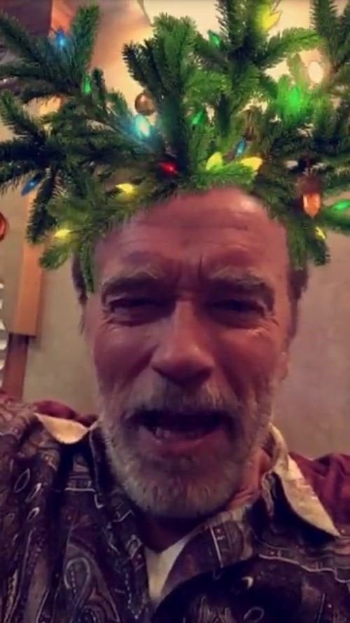 Arnold Schwarzenegger Wants You To Have A Merry Christmas