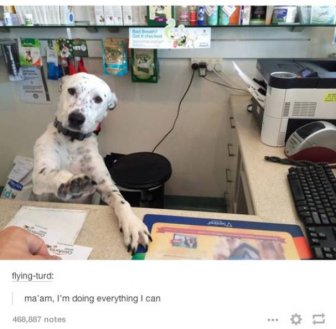 The Funniest And Most Outrageous Posts About Animals In The History Of Tumblr