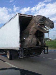 You Won't Believe That These Crazy Cars Are Actually On The Road