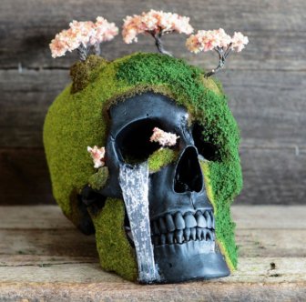 Creep Up Your Living Room With A Bonsai Skull