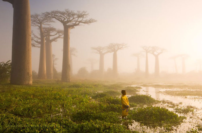 These Are The Top 20 National Geographic Photos Of 2015, part 2015