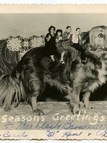 Bizarre Vintage Christmas Cards That Will Leave You Baffled