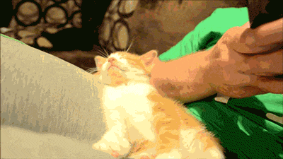 Daily GIFs Mix, part 786