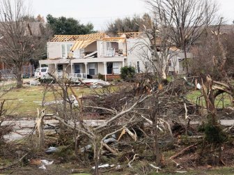 These Two Brave Dogs Survived After A Tornado Trapped Them Under A Home