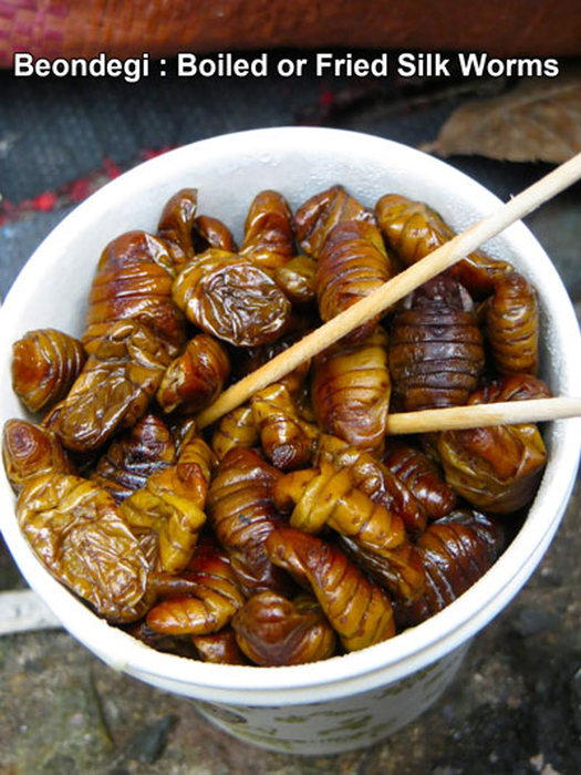 You Would Have To Be Brave To Eat These Weird Foods From Asia