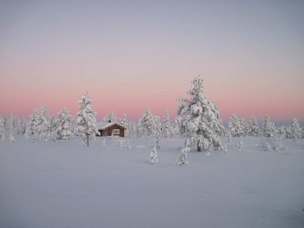 Beautiful winter photos