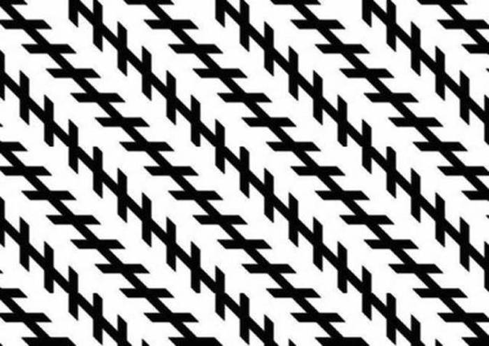 Magical Optical Illusions That Will Seriously Mess With Your Brain