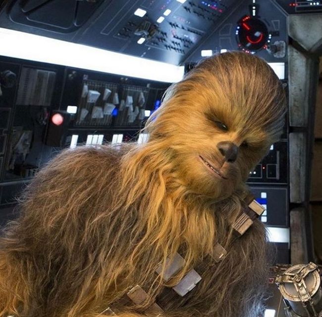 Meet Chewbacca's Double From Star Wars: The Force Awakens