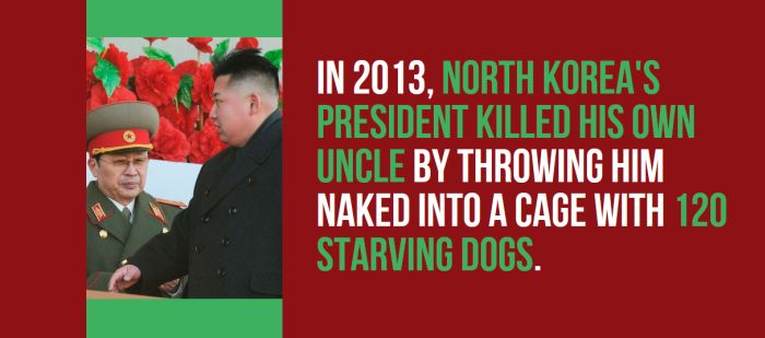 Strange But True Facts About North Korea