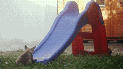 Daily GIFs Mix, part 788