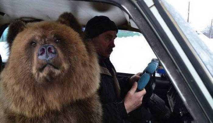 Things You Can Expect To See If You Ever Take A Trip To Russia