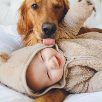 Dogs and Babies