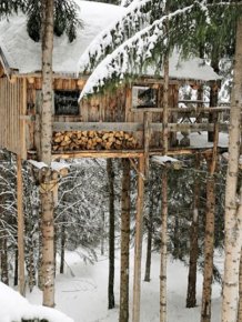 Amazing Treehouse