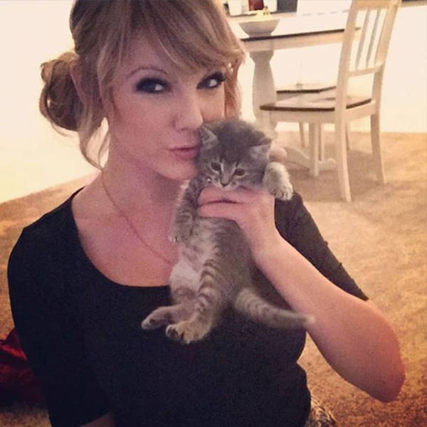 It's Almost Impossible To Tell Which One Is The Real Taylor Swift