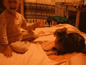 Daily GIFs Mix, part 791